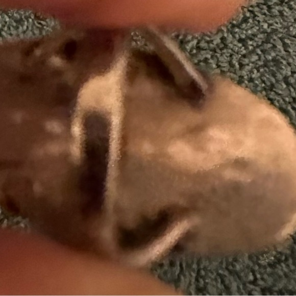 Vintage Native American Petrified Wood & Sterling Silver Ring size 6 - Picture 6 of 6